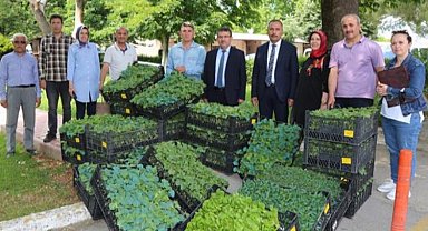Bursa'nın Ata Tohumları Yenişehir'de fidelendi