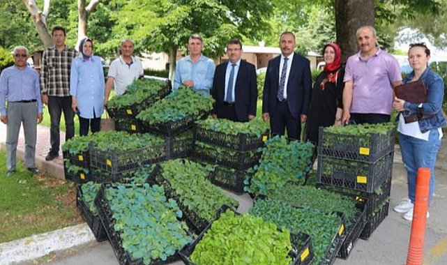 Bursa'nın Ata Tohumları Yenişehir'de fidelendi
