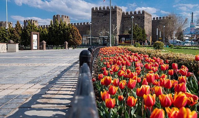 Büyükşehir, Kayseri'yi çiçek bahçesine dönüştürüyor, 1 milyon çiçeği toprakla buluşturuyor