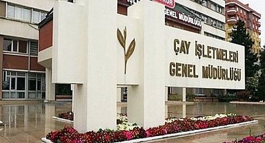 Çaykur alacağı yaş çay miktarını açıkladı