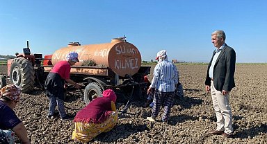 Edirne İpsala'da çiçek üreticiliği başlıyor