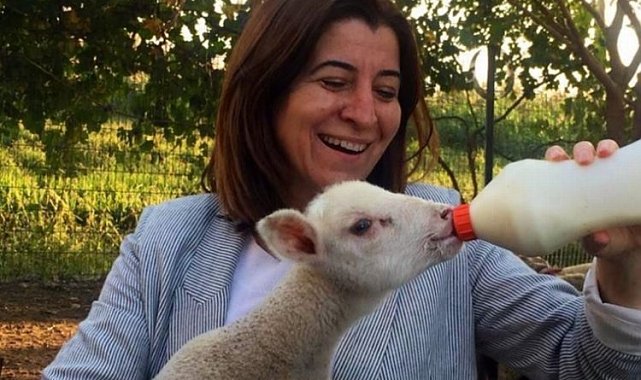 Edirne Milletvekili Aksal 'köy' projesini değerlendirdi