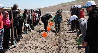 Kayseri Kocasinan'da Engelliler Haftası'nda fidan dikildi