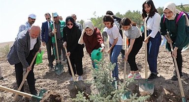 Kayseri Kocasinan'da fidanlar dikildi