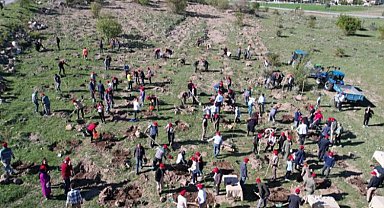 Kayseri Talas'ta fidan etkinliği