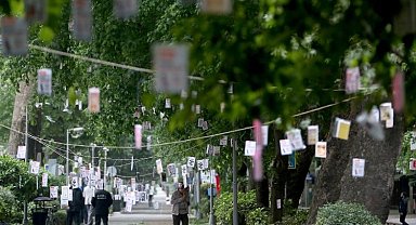 Kocaeli Cumhuriyet Bulvarı'nda ağaçlar kitap açacak