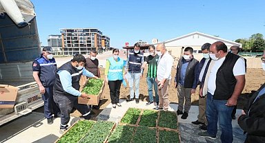 Kocaeli İzmit Belediyesi köylere binlerce fide desteği verecek