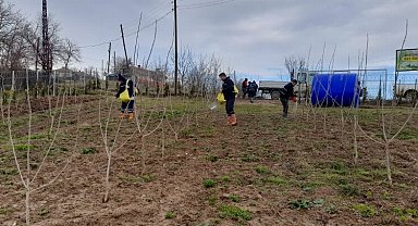 Kocaeli İzmit'te ipek böcekçiliği projesinde sona gelindi