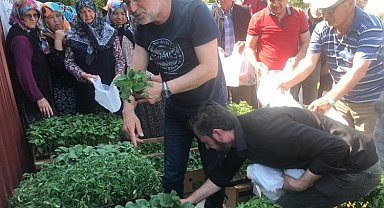 Kocaeli İzmit'te yüzde 100 hibeli fide