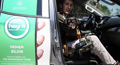 Mersin'de işkenceye maruz kalan köpeğin yüzü HAYDİ ile görüldü
