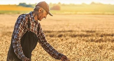 Tarım ÜFE verileri açıklandı