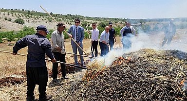 Adıyaman Belören'de firik hasadı başladı