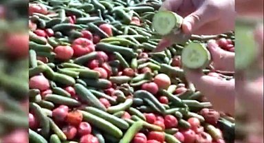 Antalya'da çöpe dökülen görüntüler tepki çekmişti... Soruşturma başlatıldı!