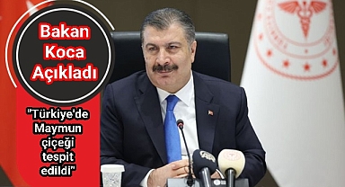 Bakan Koca açıkladı; Türkiye'de maymun çiçeği tespit edildi