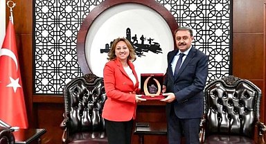 Bakan Yardımcısı Yavuz'dan Vali Şıldak'a ziyaret