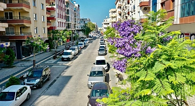 BAŞKAN ATABAY: DİDİMİMİZ HER GEÇEN GÜN GÜZELLEŞİYOR