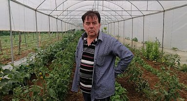 Bilecik Pazaryeri'nde 7 yıldır ürettiği tohumlarla sebze yetiştiriyor