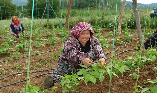Bilecik Pazaryeri'nde 'Boncuk Fasulyesi'nde iplikleme mesaisi