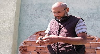 Bilecik Pazaryeri'nde minik serçeyi kurtaran dikkat