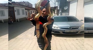 Bilecik Pazaryeri'nde yılan paniği