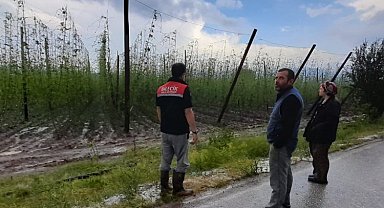 Bilecik Pazaryeri'ndeki tarım alanlarında hasar tespiti sürüyor