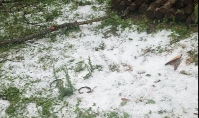 Bilecik Pazaryeri'ni dolu vurdu! Tarım arazileri zarar gördü