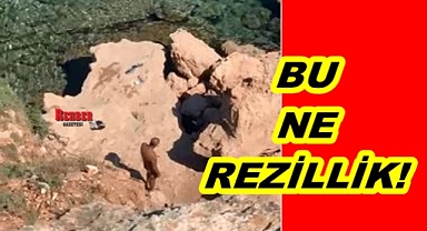 Bu ne rezillik!