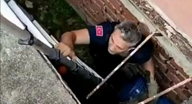 Bursa Mudanya'da itfaiye ekipleri mahsur kalan kediyi kurtardı