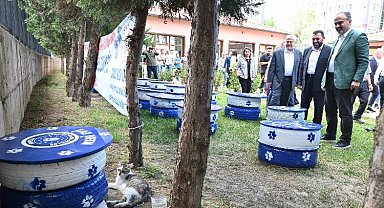 Bursalı danışanlar sokak hayvanları için seferber