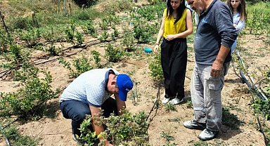 Bursa'nın dağ ilçelerindeki bahçelerden şüpheli numuneler alındı