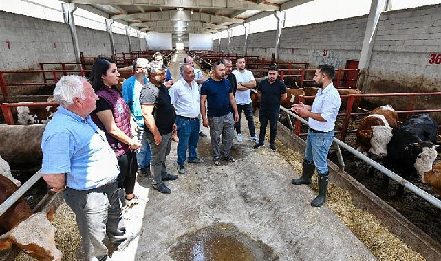 Çiftçiye 'Hayvan besleme' eğitimi!