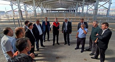 Çorum'da kurbanlık alarmı!