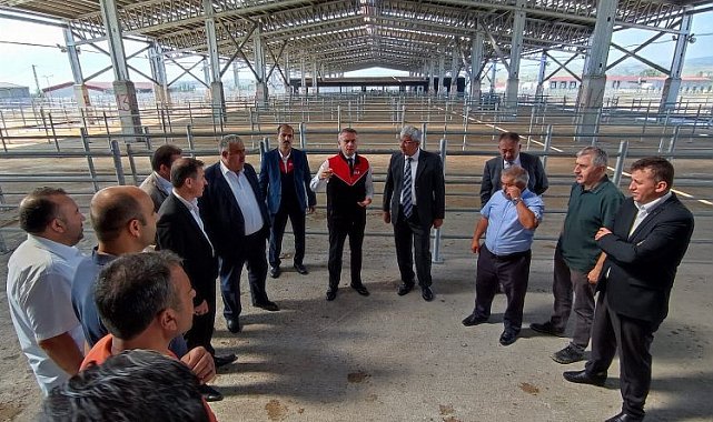 Çorum'da kurbanlık alarmı!
