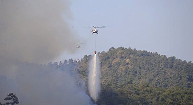 Devlet 'yeşil vatan' için seferber