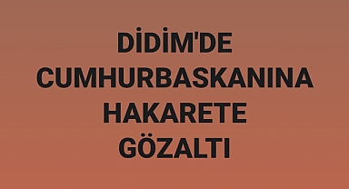 Didim'de Cumhurbaşkanına Hakarete Gözaltı
