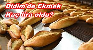 Didim'de EKMEK Karmaşası