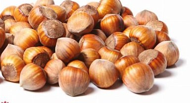 Giresun Tombul Fındığı'na AB tescili