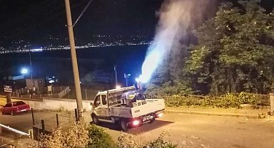 Giresun'da belediye sineklere savaş açtı