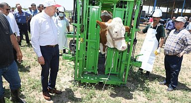 Hatay'da üreticiliğe verilen destek karşılığını buluyor
