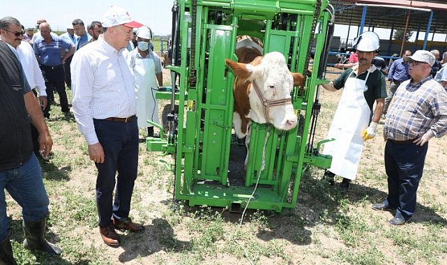 Hatay'da üreticiliğe verilen destek karşılığını buluyor