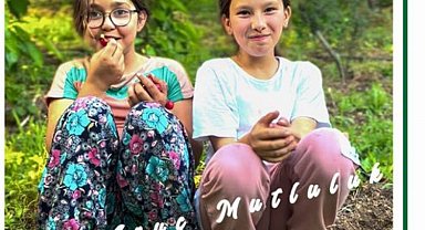 İzmir Bayındır'da kiraz festivali başlıyor