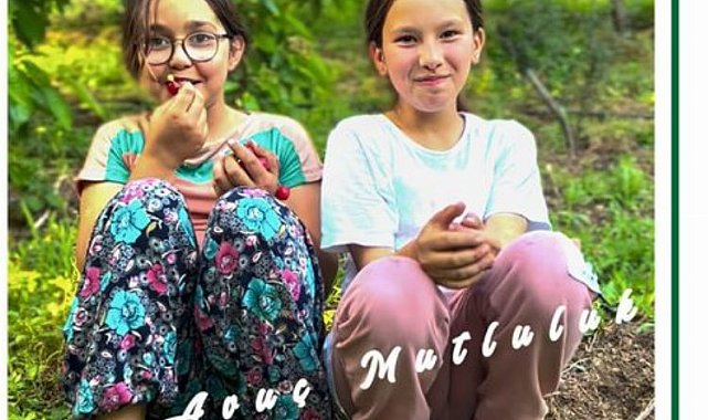 İzmir Bayındır'da kiraz festivali başlıyor