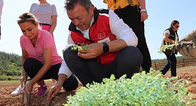 İzmir'de tıbbi ve aromatik bitkiler yaygınlaşıyor