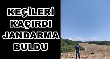 KEÇİLERİ KAÇIRDI, JANDARMA BULDU