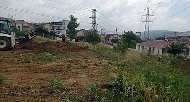 Kocaeli İzmit'te atık yağlar fidana dönüşecek