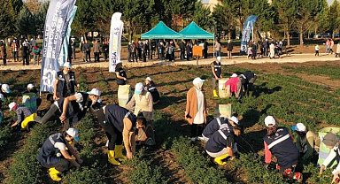 Kocaeli'de Sekapark organik tarıma geçiyor