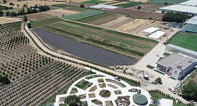 Kokuların gücüyle alternatif tedavi Aromaterapi