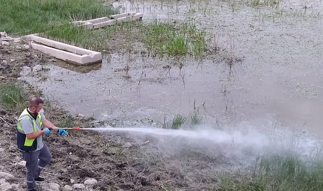 Kütahya 67 mahalleyi ilaçlıyor