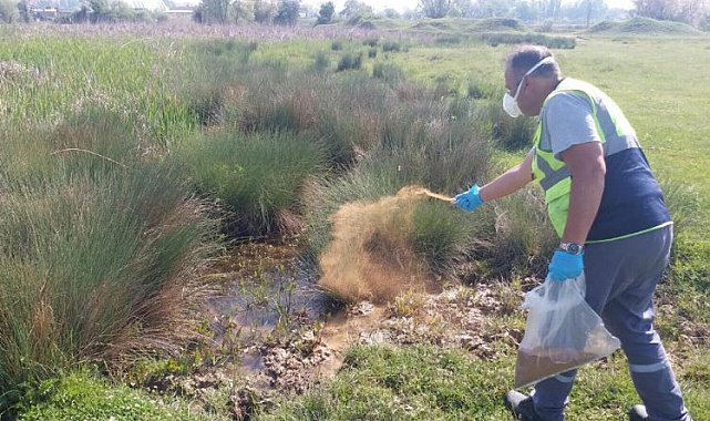 Kütahya'da biyolojik ilaçlama sürüyor