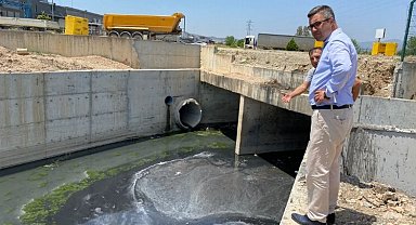 Manisa'da haşere alarmı!